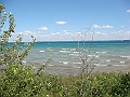 Western Michigan [2010] 542